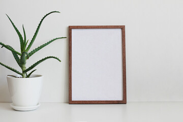 frame on the wall and aloe in white flowerpot