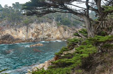Beautiful landscape, views of cliffs with cypress trees, ocean coast in Point Lobos State Park on the central coast of California.