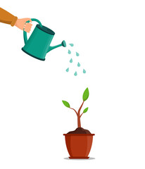 Water can in hand. Water for pour of tree and plant. Growth are seed in garden in spring. Pot with plant or flower. Hand holding can watering for grow of sprout. Flora, tool and sprinkle. Vector