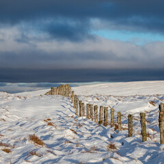 A fence line on the snow covered tops of the Campsie Fells