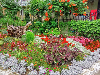 Fototapeta na wymiar Summer patio with many flowers and plants