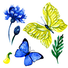 Bright colorful illustration of a cornflower and two butterflies - yellow and blue, and green leaf. Set of isolated elements on white background for summer seasonal templates. Watercolor illustration.