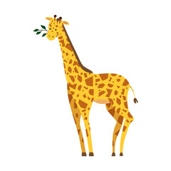 Cute giraffe