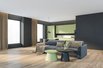 Living room interior with sofa and kitchen set with windows