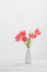 spring tulips in white vase on white background