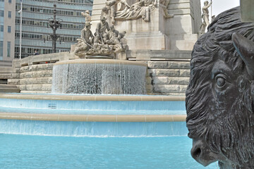 Horizontal view of bronze buffalo detail of the Soldiers and Sailors monument, Indianapolis, Indiana.