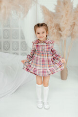 Cute little girl in a beautiful dress in a light photo studio. Portrait of a beautiful girl. A girl with beautiful eyes