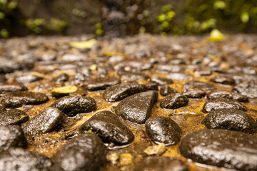 Wet stones. Texture background. Selected art focus. Blurred foreground and background. Copy space.