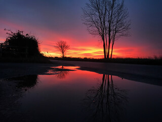 Fototapeta na wymiar Stunning Sunrise with trees reflections