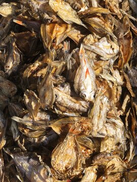Dried Fish