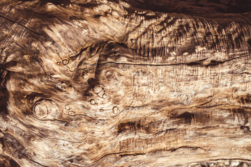 drift wood texture and grain 