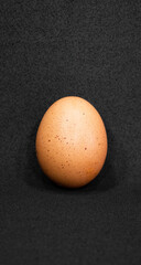 One chicken egg on a black background.