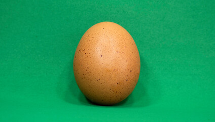  Egg on the green background in center. Negative space for text.  Minimal concept. 