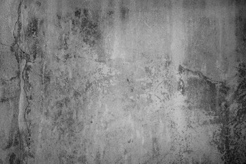 Concrete wall texture for background Abstract texture of concrete wall for birds. Vintage background concept.