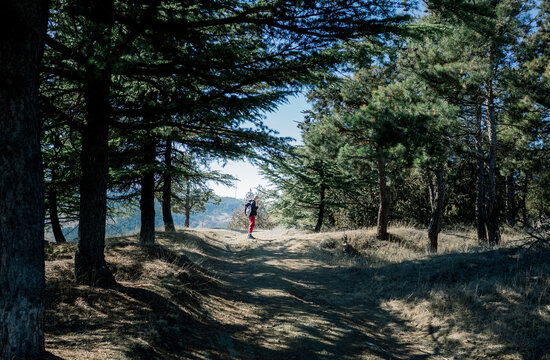 Backpacker on a hike