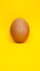 One chicken raw egg on yellow background. 