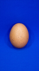 One chicken egg on a blue background. Copy space for text.