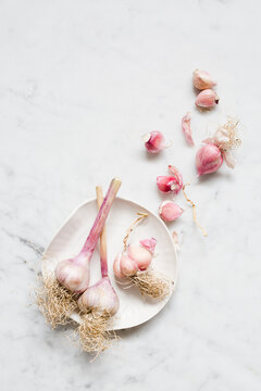 Garlic Bulbs Still Life