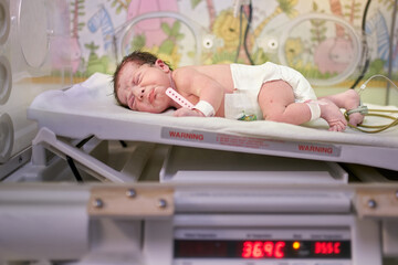 incubator with a newborn baby