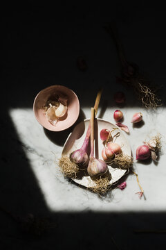 Garlic Bulbs Still Life