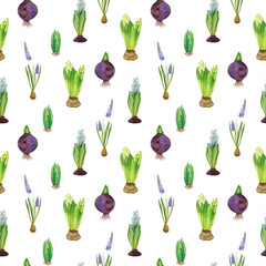 Hand-drawn watercolor seamless spring pattern with hyacinths on a white background. Fresh print with different hyacinths: lilac muscari, white and blue hyacinths, hyacinth bulbs.
