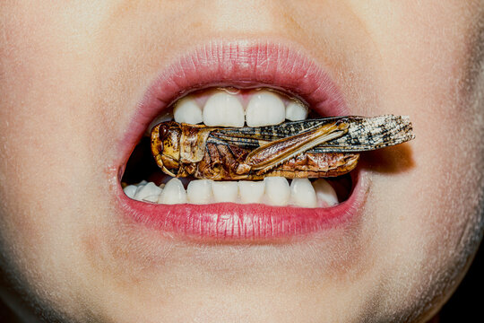 Mouth with grasshopper