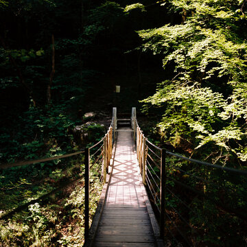 Rope Bridge on the Gorge