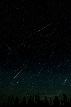 Perseid Meteor Shower
