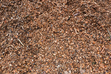 Pile of woodchips, detail, feedstock for a biomass power plant
