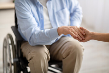 Elderly disabled people support. Young female holding hand of handicapped senior man in wheelchair indoors, closeup