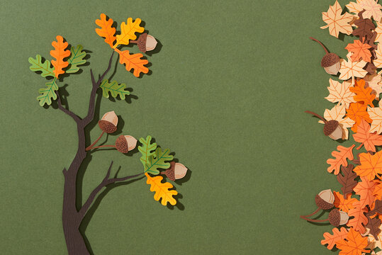Autumn leaves and acorn