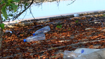 Plastic bottle waste along the sea beach