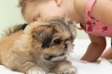 1 year old girl kissing puppy puppy lying down.