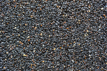 Granola bar. Healthy sweet dessert snack. Black sesame seeds with honey in background, close up
