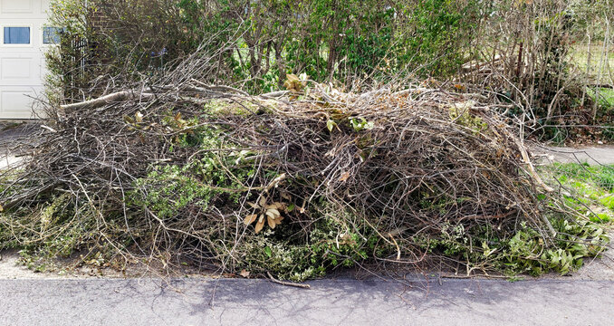 Pile of spring pruning limbs and branches.