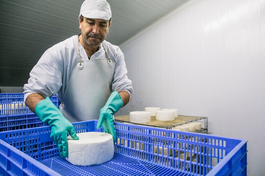 Man putting cheese wheels in box