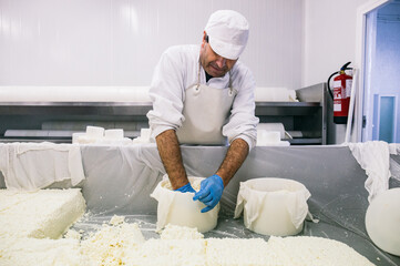 Adult worker in cheese shop