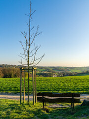 A bench with a view over the Oefter Tal nature reserve in Essen, Ruhr Area, North Rhine-Westphalia, Germany