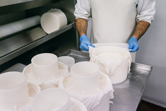 Crop Man Producing Fresh Cheese