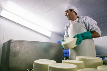 Man putting cheese wheels in rows