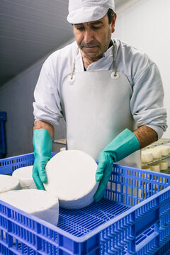 Man putting cheese wheels in box