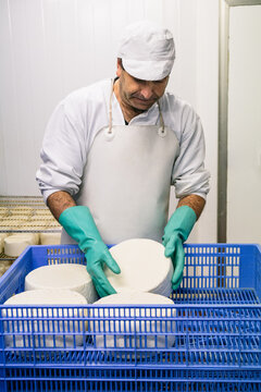 Man putting cheese wheels in box