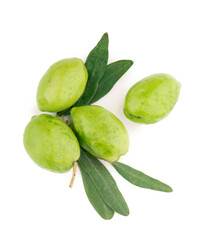 Olive fruit and olive leaves on a white background