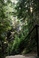 Wilderness concept. Wild forest scenery.  Canyon river trip nature. Vertical image.