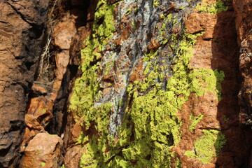 Weathered Rocks Background with Lichen Full Frame of Cliff 