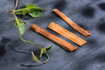 Bark of the Uncaria tomentosa plant - Text space