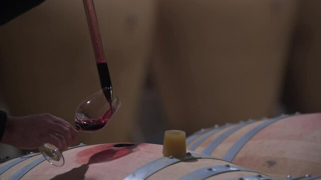 Winemaker Making Wine Test in Winery Cellar. High quality 4k footage