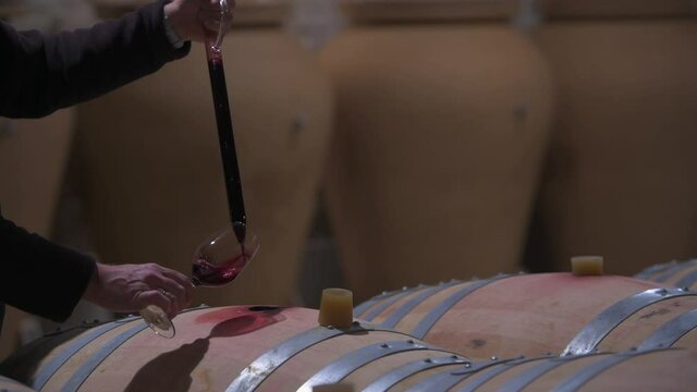 Winemaker Making Wine Test in Winery Cellar. High quality 4k footage