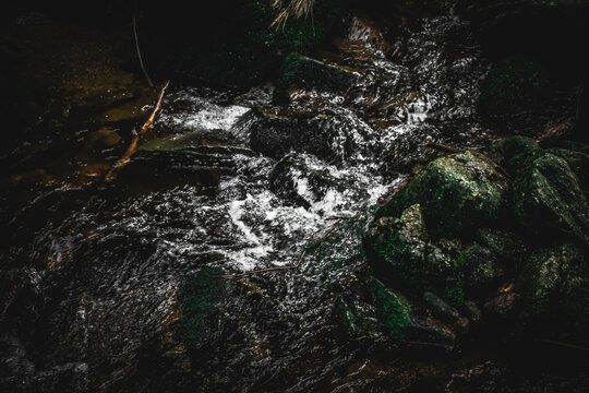 River stream concept. Vintage dark image of river mouth. 