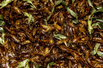 Fried crickets on the market in Bangkok, Thailand